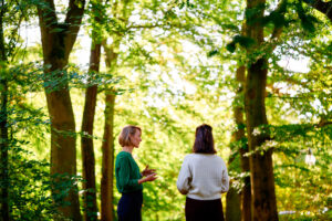 individuele coaching
