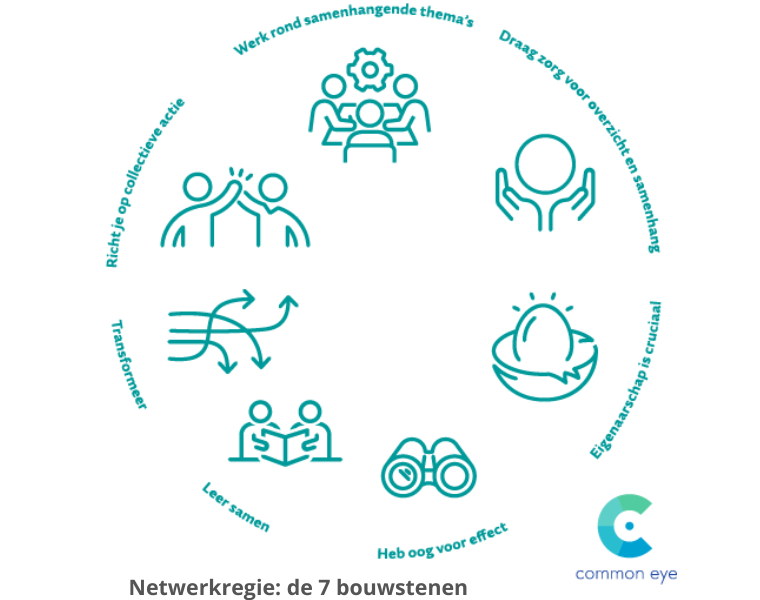 Model Netwerkregie 7 bouwstenen Common Eye
